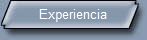Experiencia